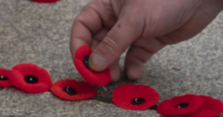 People gather at Edmonton City Hall for Remembrance Day ceremony