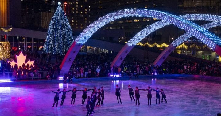 Toronto begins holiday season preparations with arrival of Christmas tree