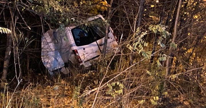 Driver critically injured after crashing into several trees, ravine in Toronto’s west end: police