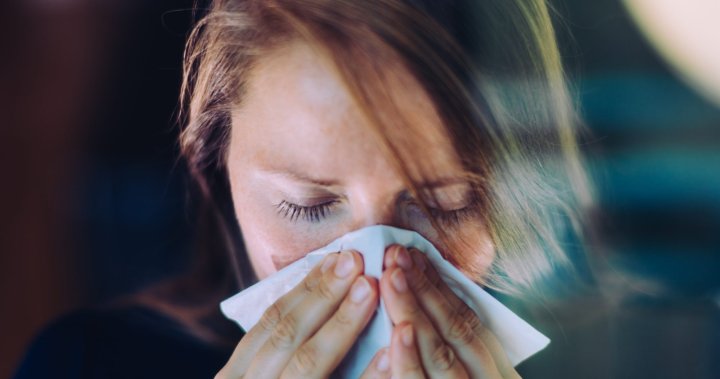 Canada now seeing ‘influenza epidemic’ as flu cases continue to climb: PHAC