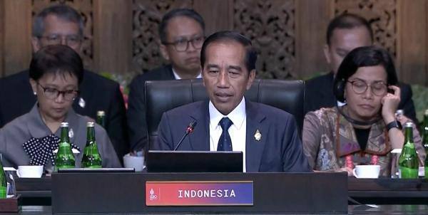 Indonesian President: The Group of Twenty Summit should not fail