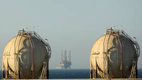 Egypt achieves large profits of gas