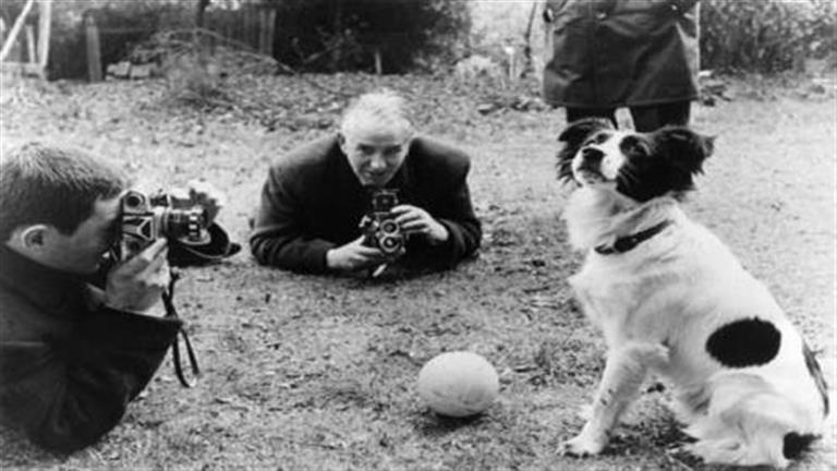 World Cup tales … the dog that entered history and returned the lost cup