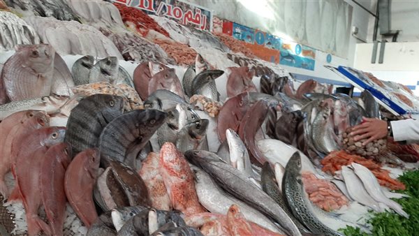 Fish prices of all kinds today, Wednesday, November 16, 2022