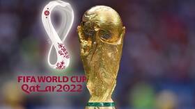 The Egyptian government issues a decision regarding the World Cup in Qatar