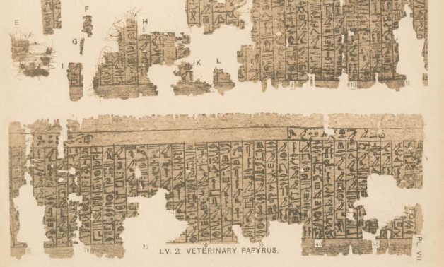 Medical papyri of ancient Egypt reveal astonishing facts