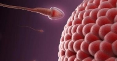 Smoking and putting the laptop on the thighs .. 8 habits that destroy sperm