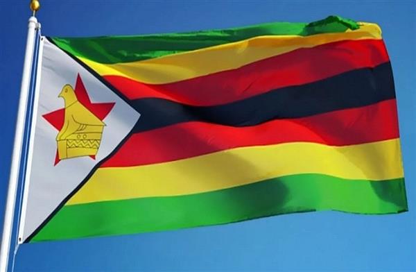 Zimbabwe Minister: Half of the country’s population does not own the Internet