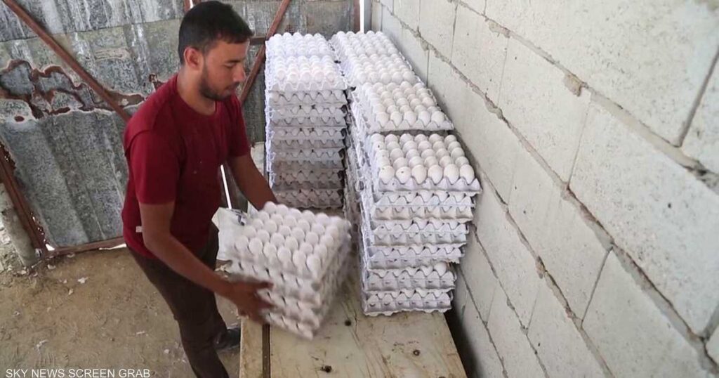 Palestinians make eggs that are environmentally friendly