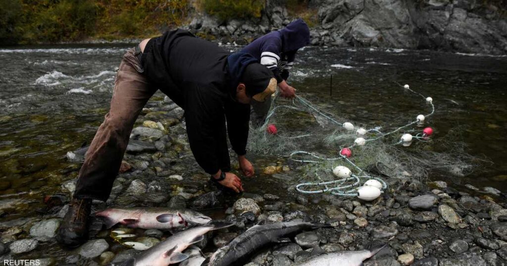 For salmon … the largest damage to the dams in the history of America