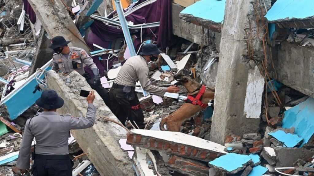 More than 40 dead and 300 wounded in an earthquake in Indonesia