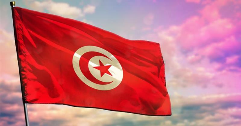 Tunisian Minister of Industry: We have a vision to create a free Francophone economic zone