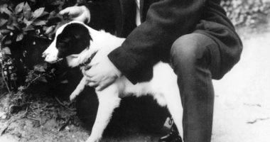 Believe it or not … a dog finds the World Cup after its steal in 1966