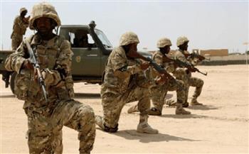 The Somali Armed Forces kill 15 terrorist elements in the south of the country