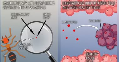 Creating “Nanweh” is the youngest 50,000 times of the ant targeted cancer cells